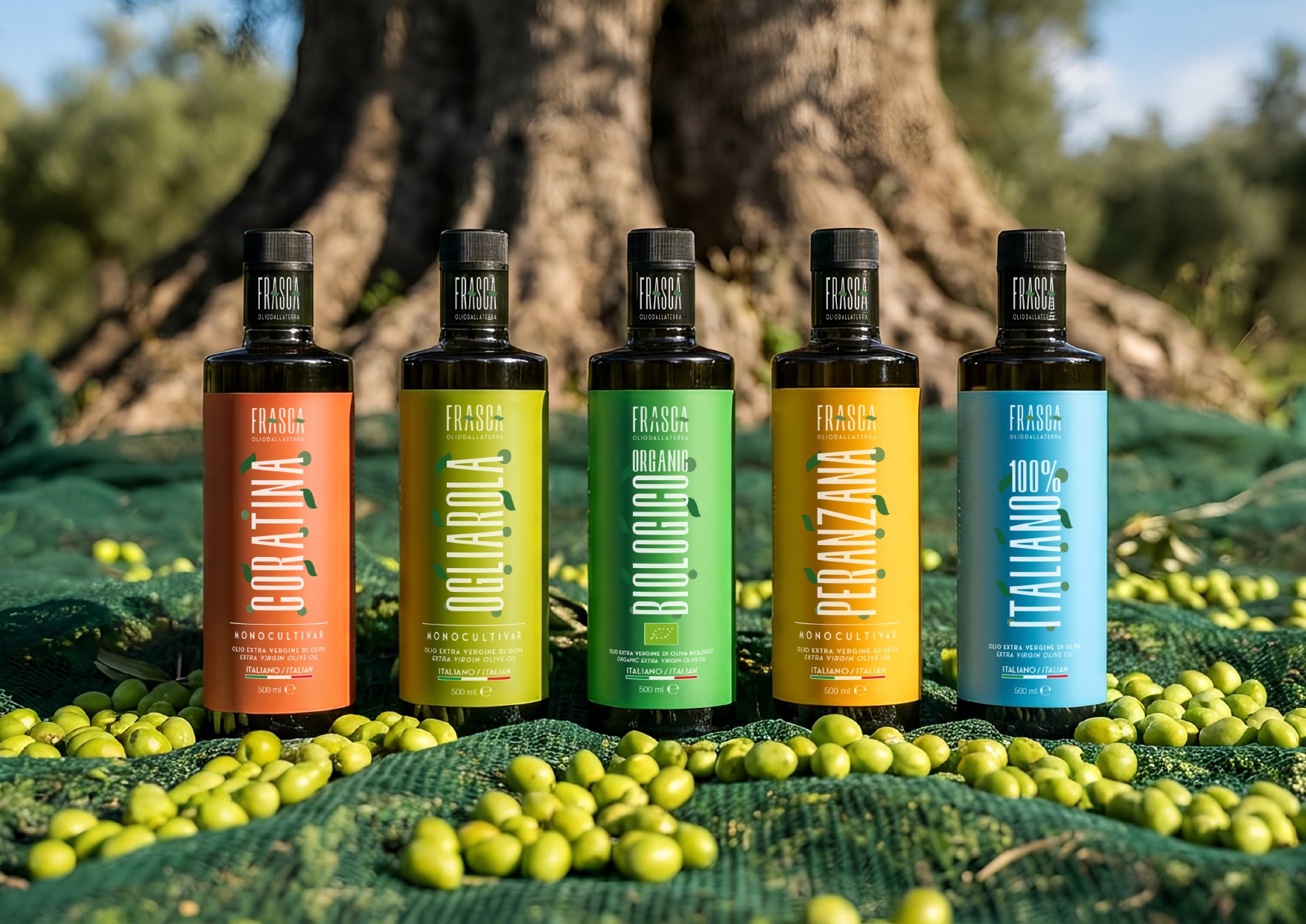 EXTRAVIRGIN OLIVE OIL