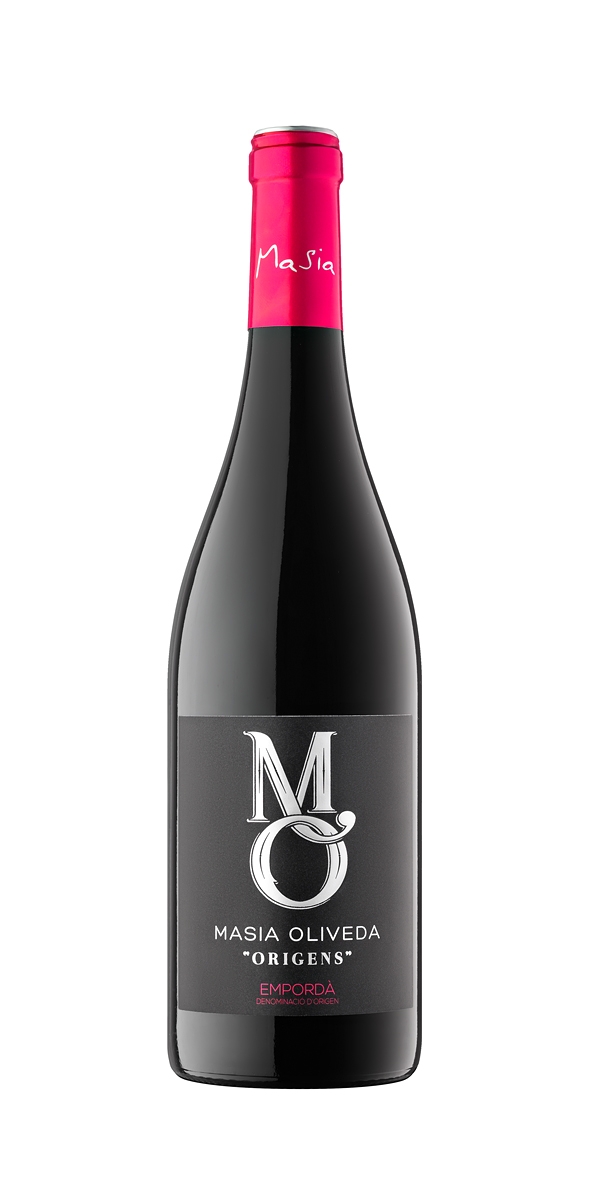 FOTO - MO ORIGENS.JPG.JPG