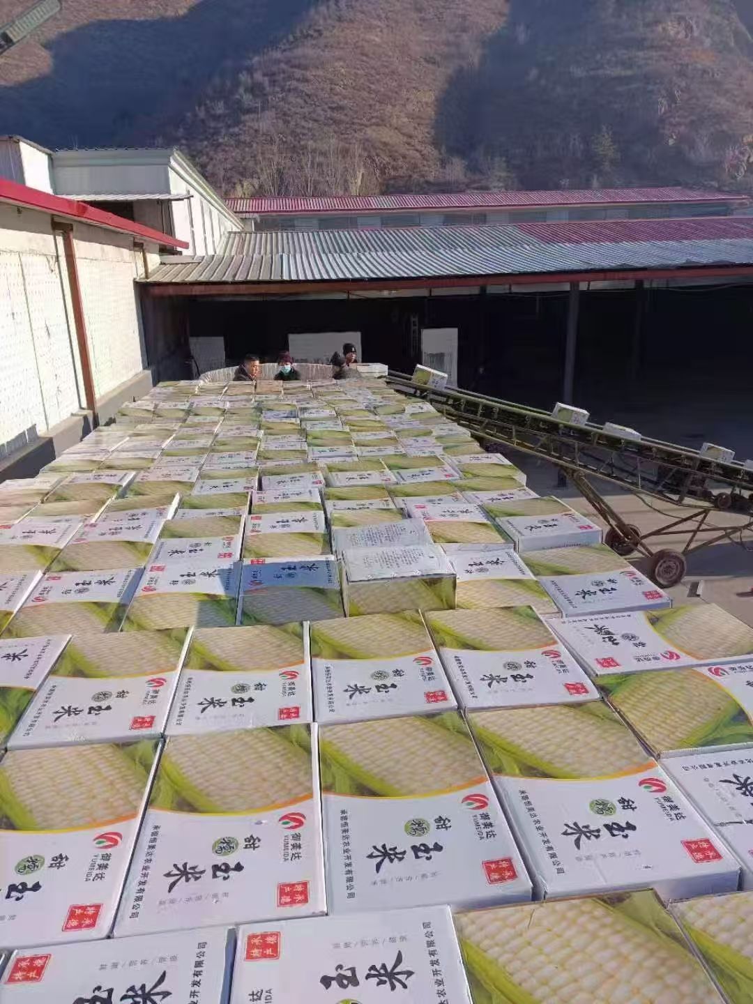 承德恒美達農業發展有限公司