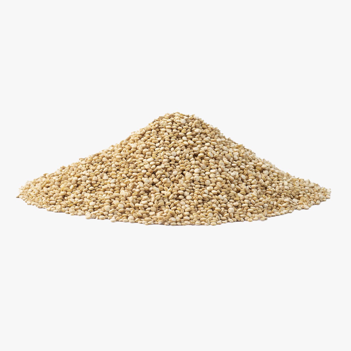 WhatsApp Image 2026-04-28 at 5.51.18 PM (5).jpeg