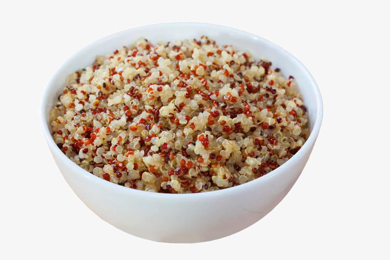 WhatsApp Image 2026-04-28 at 5.51.20 PM (5).jpeg