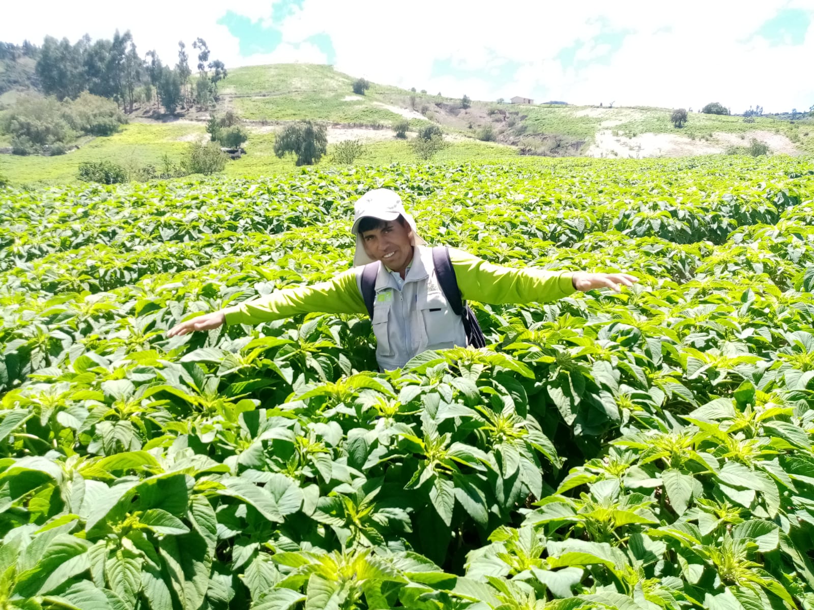 Produccion de kiwicha comunidad Weraccochan.jpeg