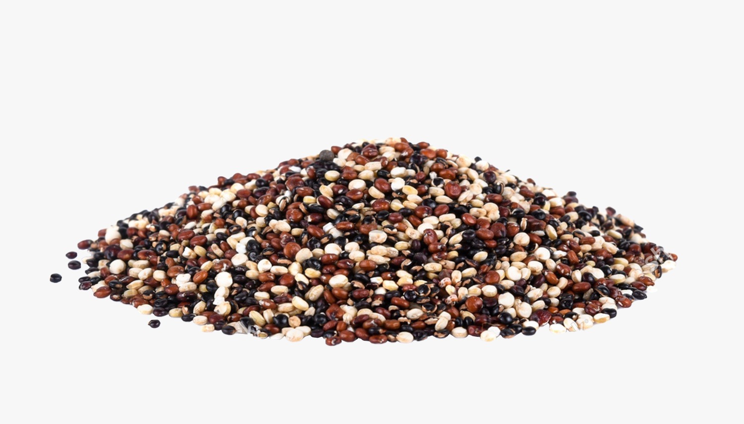 WhatsApp Image 2026-04-28 at 5.51.18 PM (1).jpeg