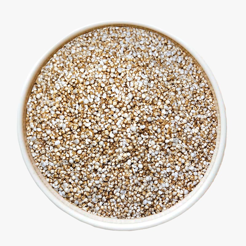 WhatsApp Image 2026-04-28 at 5.51.18 PM (19).jpeg