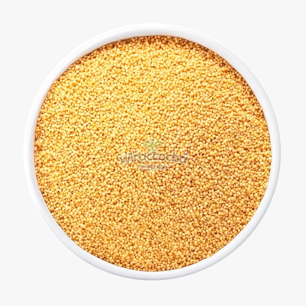 WhatsApp Image 2026-04-28 at 5.51.18 PM (17).jpeg