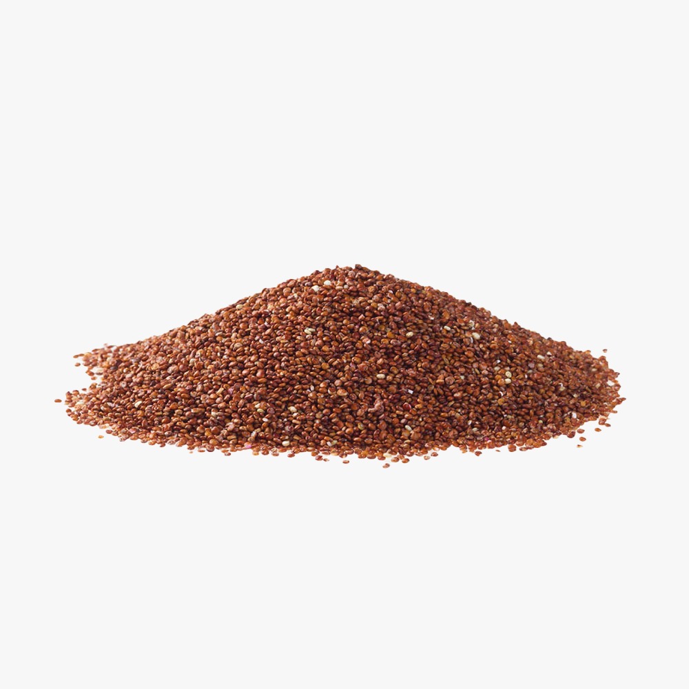 WhatsApp Image 2026-04-28 at 5.51.18 PM (6).jpeg