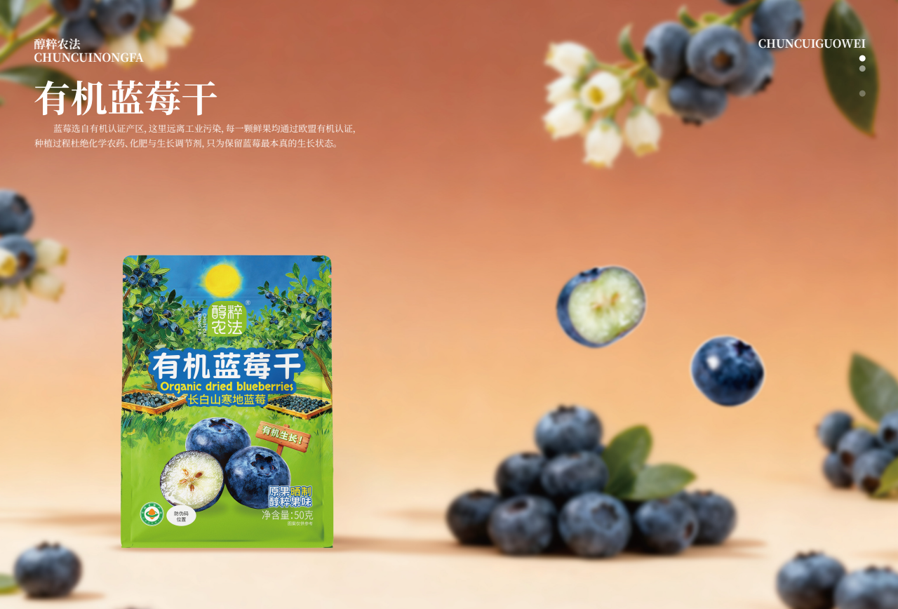 醇粹農法有機藍莓干