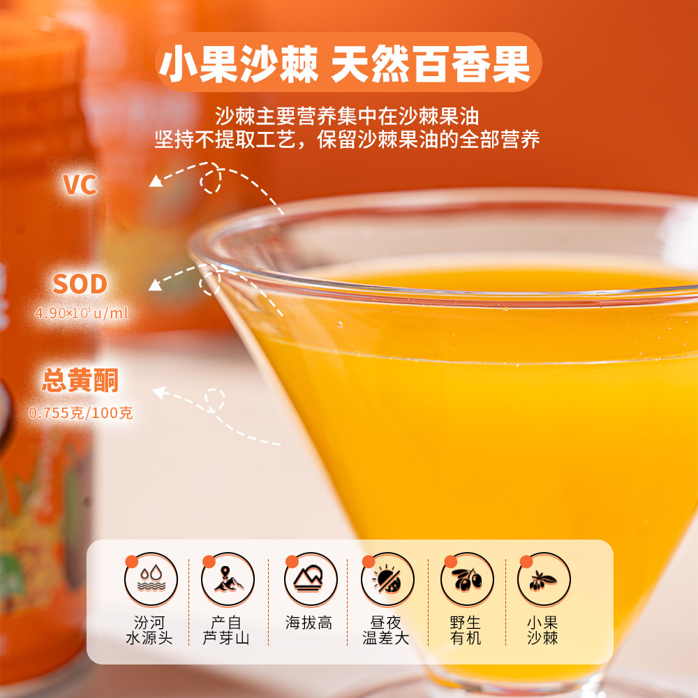 沙棘百香果主圖畫板 3 拷貝 4.jpg