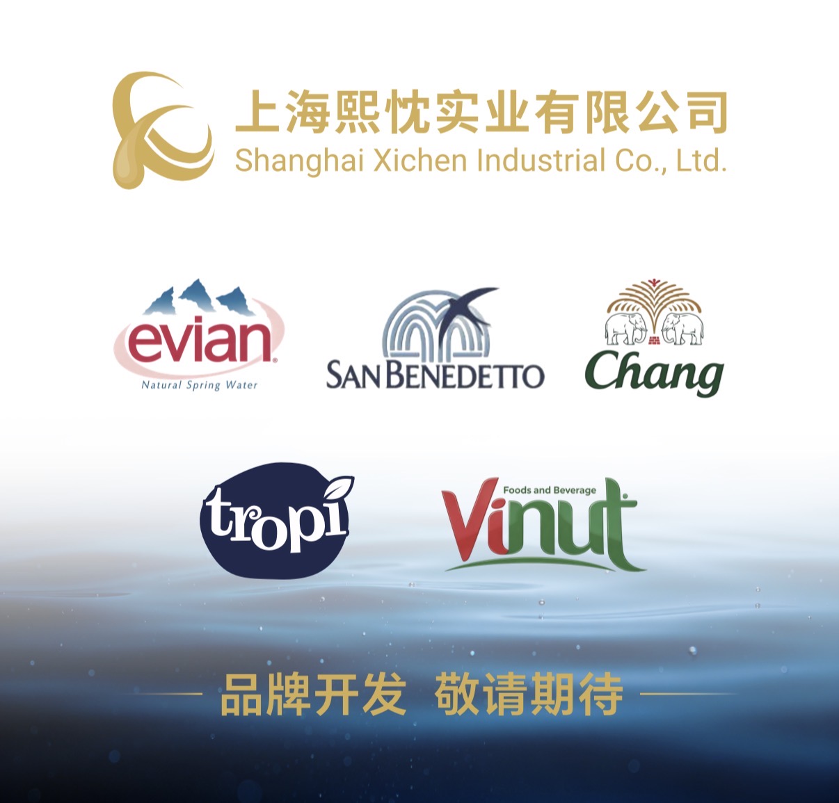 依云 泰象 巴黎水 圣碧濤