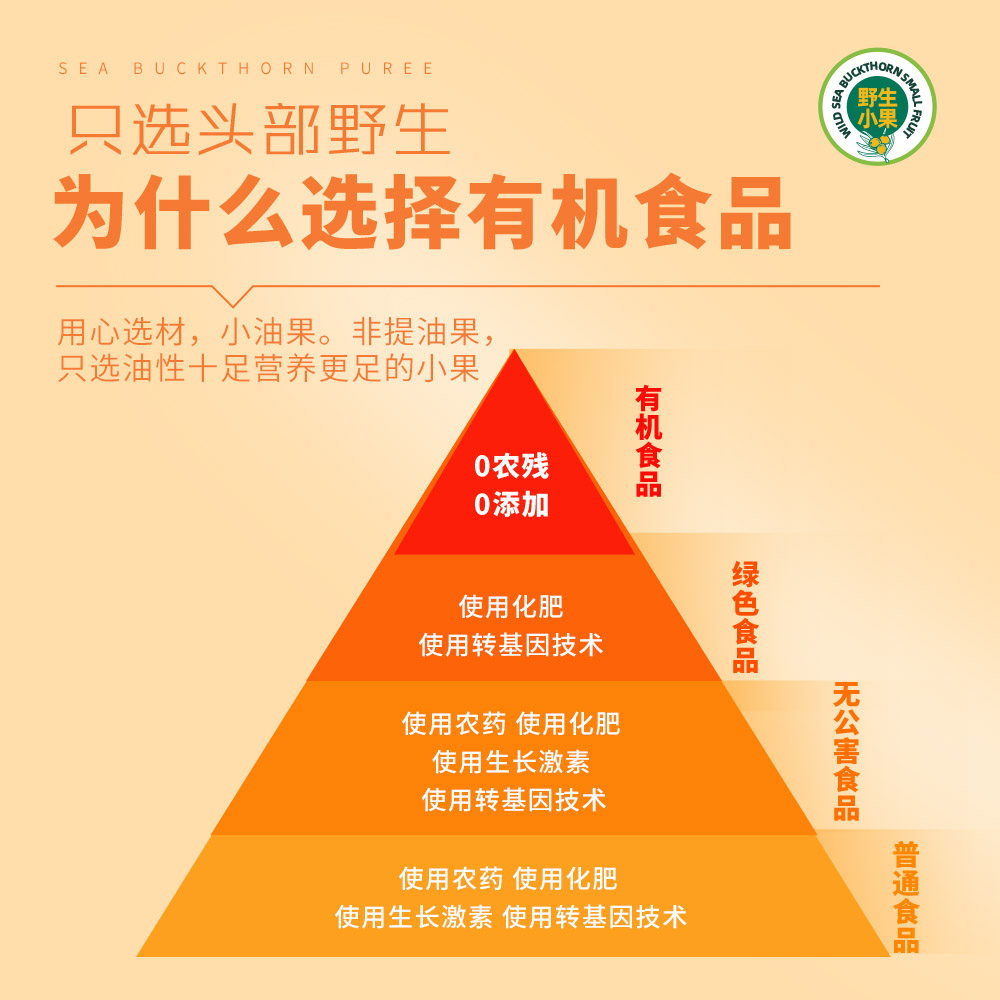 沙棘原漿主圖畫板 14.jpg