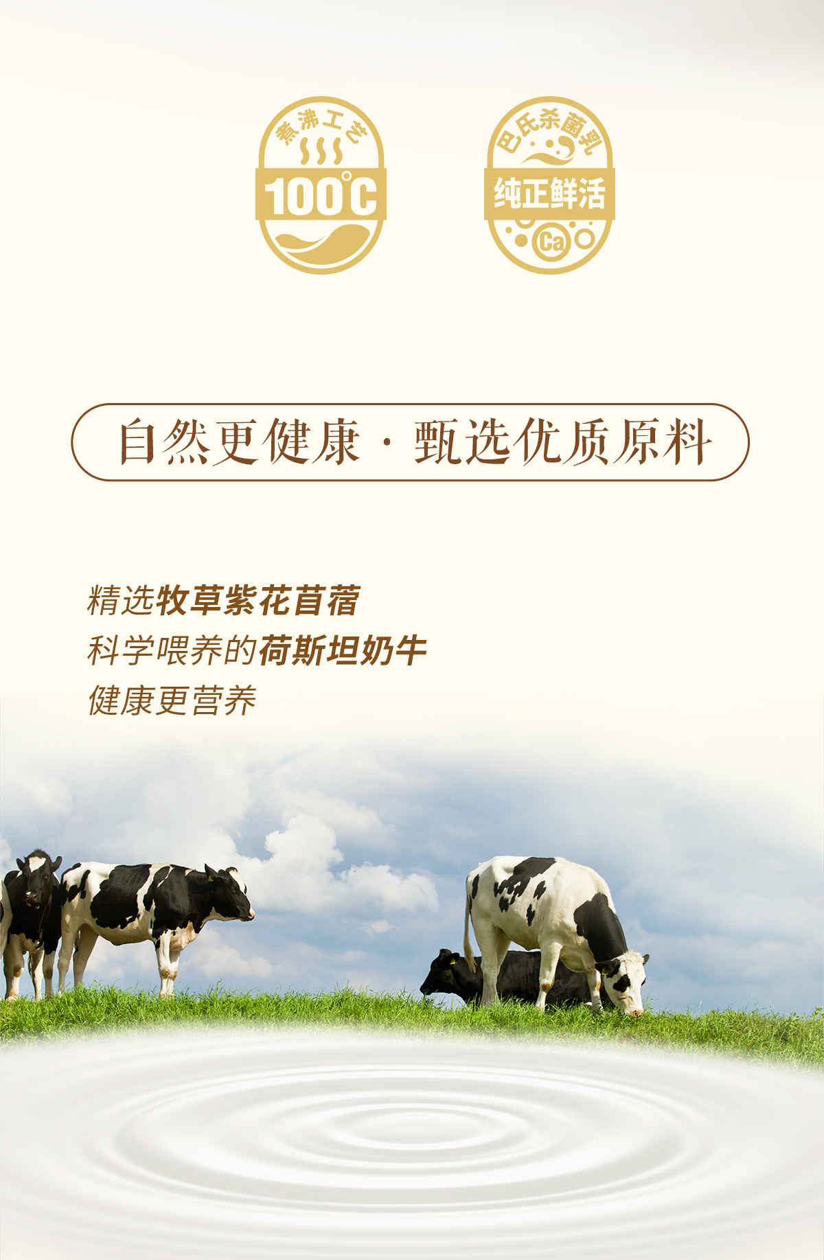 原味牛乳詳情頁260122_03.jpg