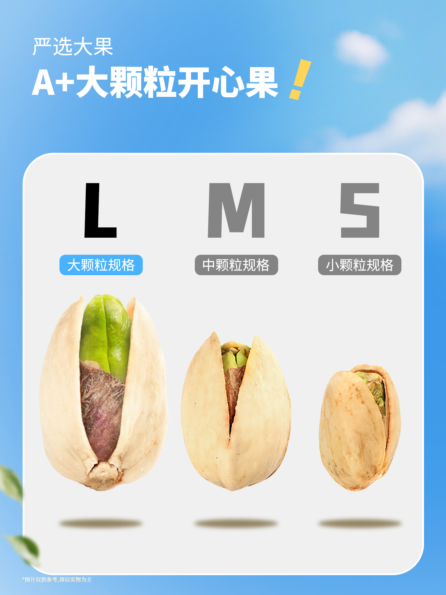 興隆棧賀年無鹽開心果-1920px2.jpg