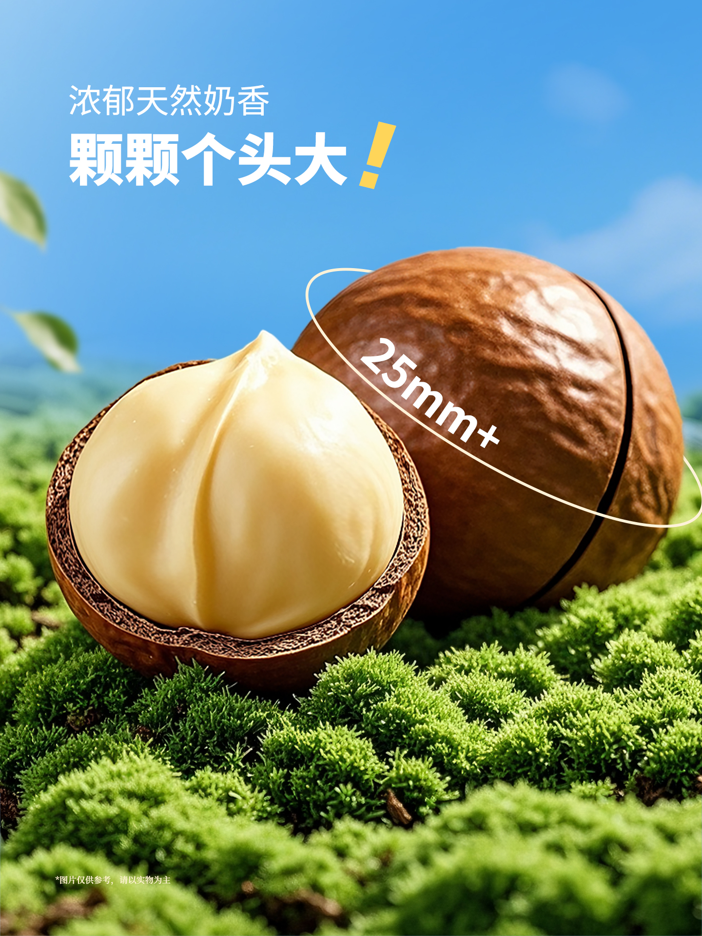 興隆棧賀年夏威夷果454g-1920px (3).jpg