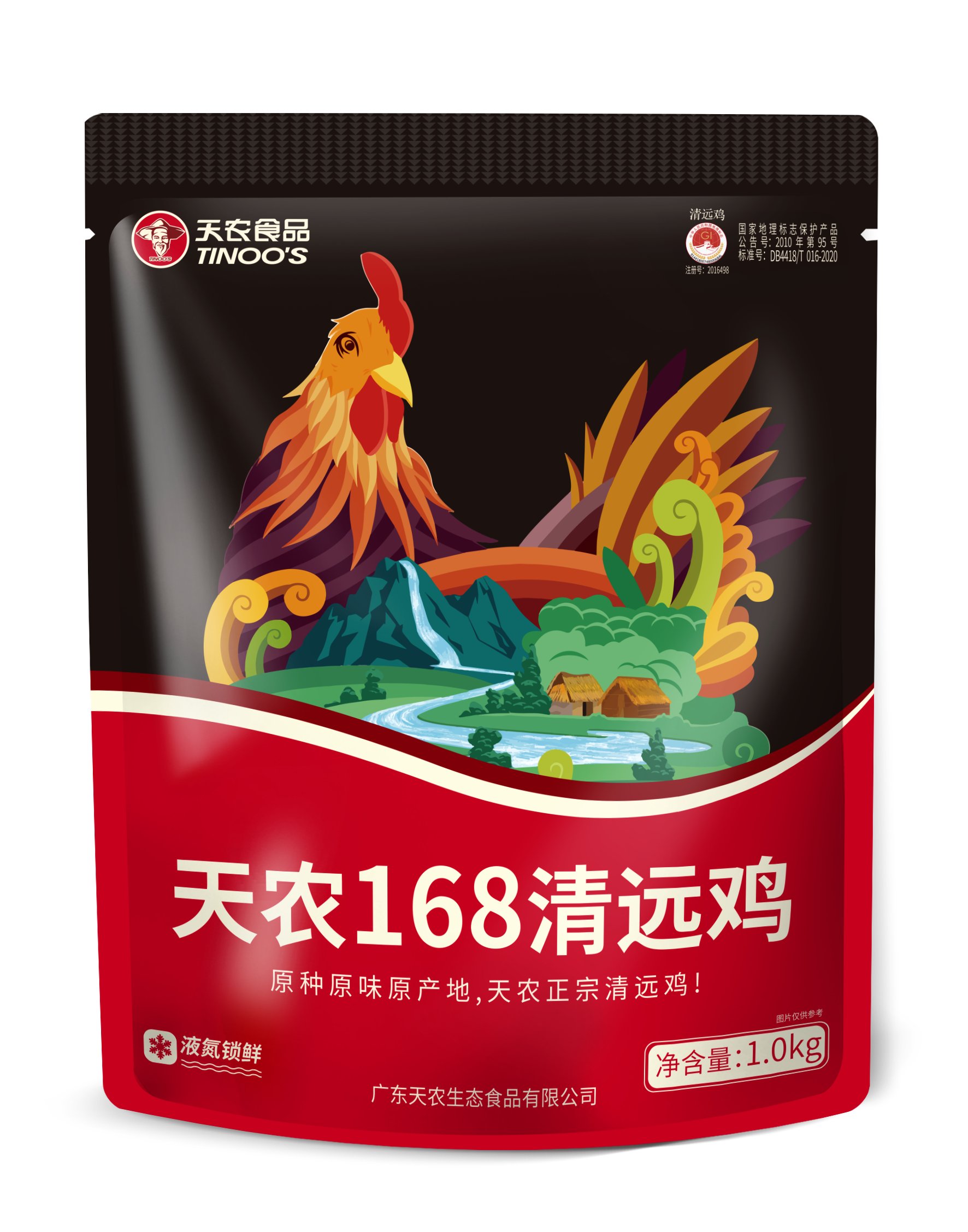 天農(nóng)168清遠(yuǎn)雞