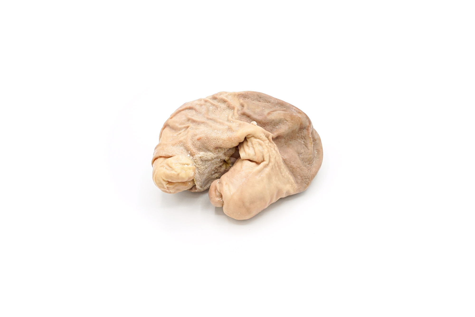 6610FI COOKED STOMACH 4.jpg