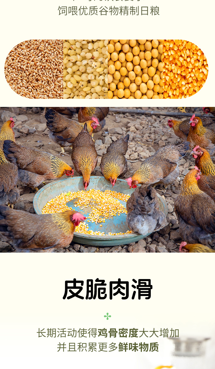 天農168清遠雞-詳情頁2026_07.jpg