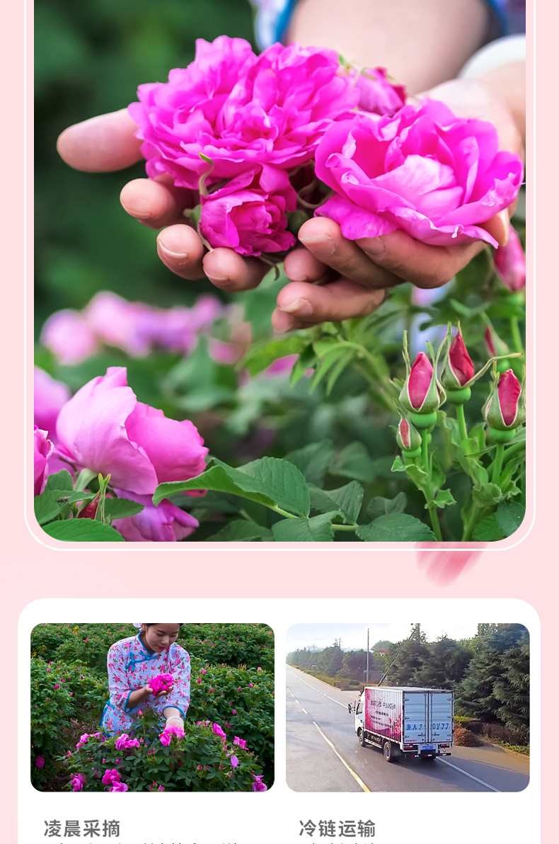 玫瑰花粉詳情頁_05.jpg