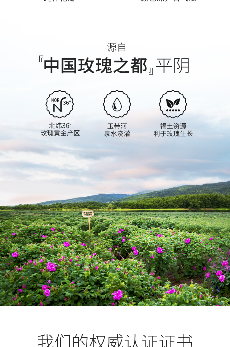 玫瑰花粉詳情頁_03.jpg