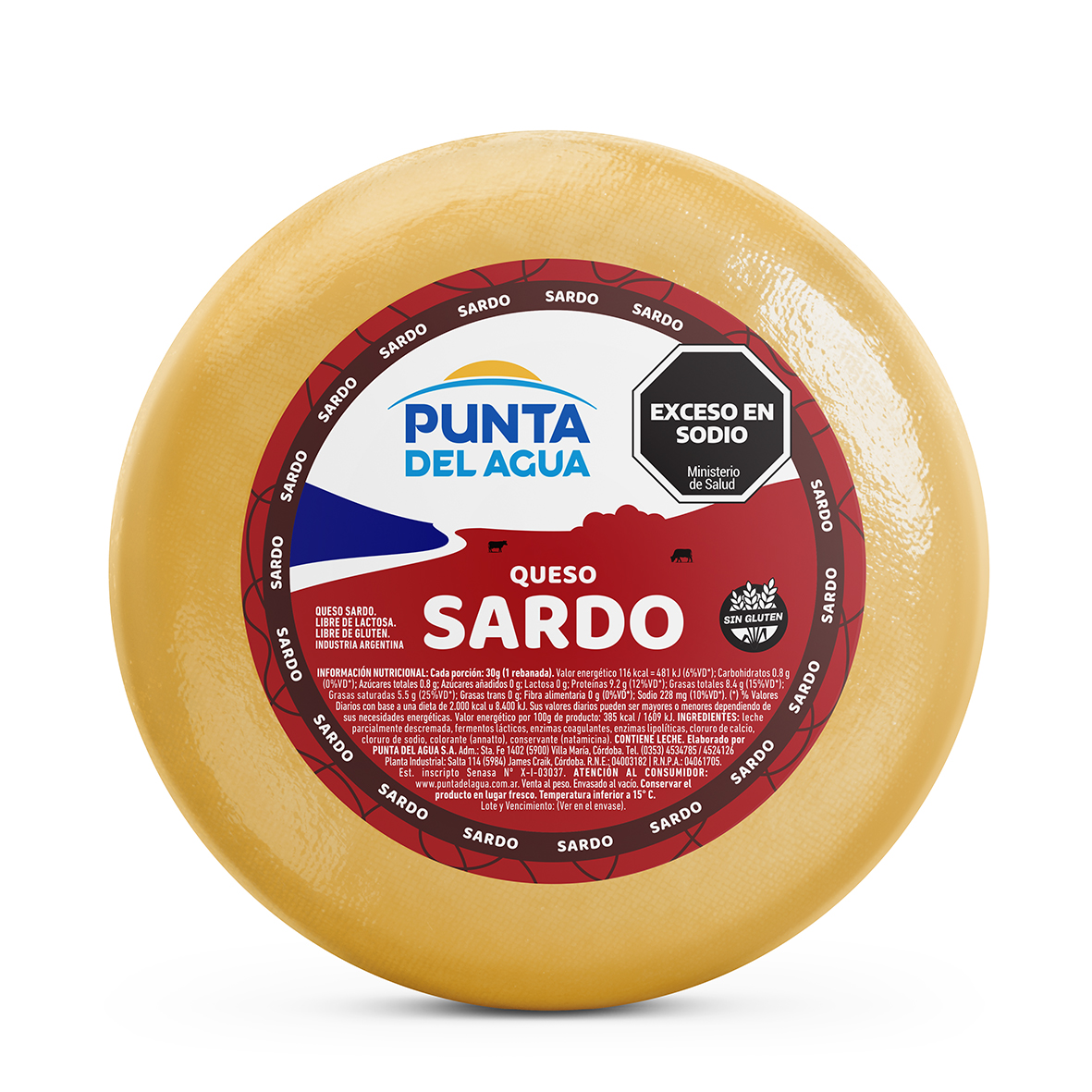 SARDO CHEESE