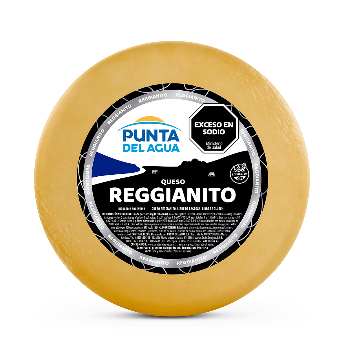 Render_PDA_Reggianito_Horma_09_03_2026_baja.jpg