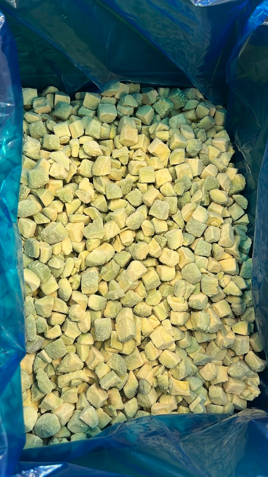 AVOCADO CHUNKS IN BULK PACK.jpg