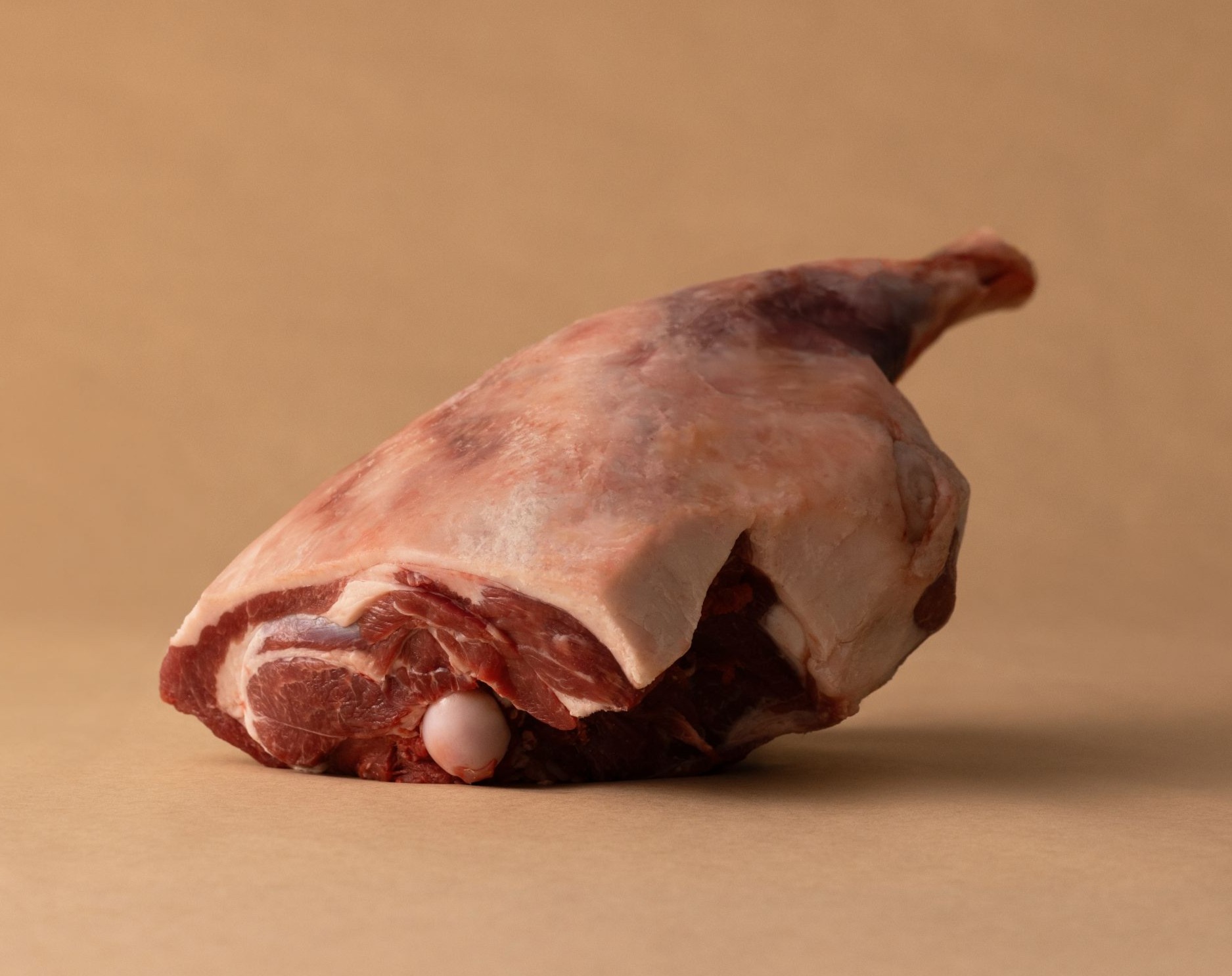 699961-10a-aitch-bone-out-leg-chump-off-shanktipped-front.jpg