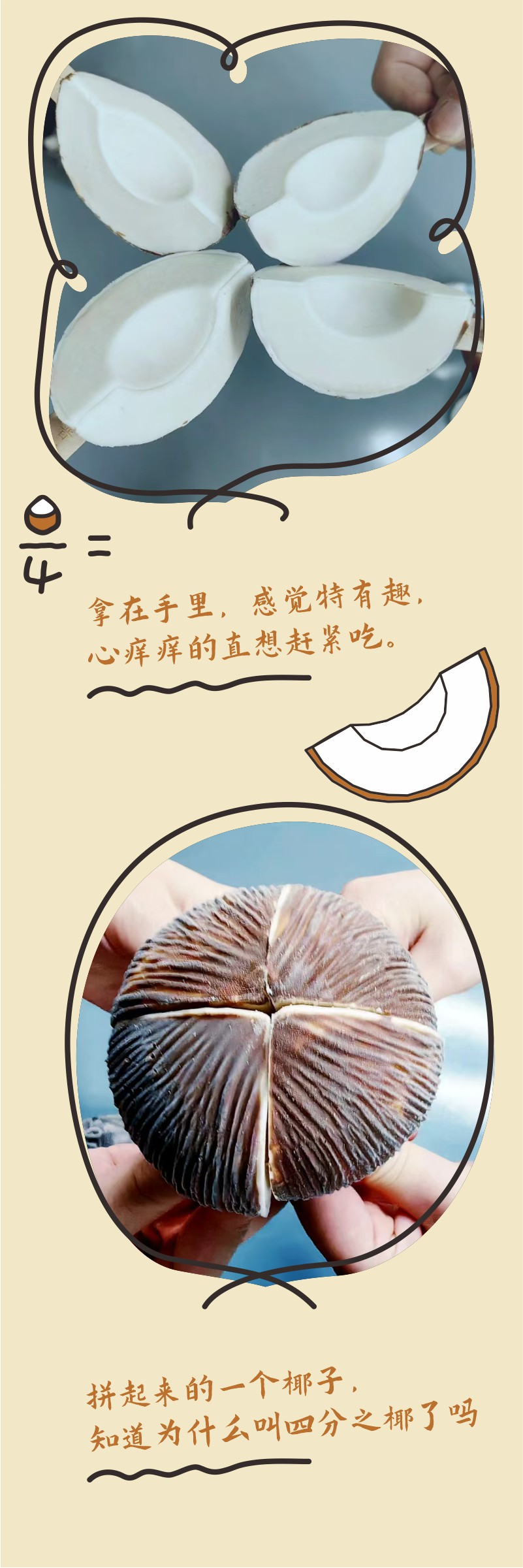 詳情頁-8.jpg