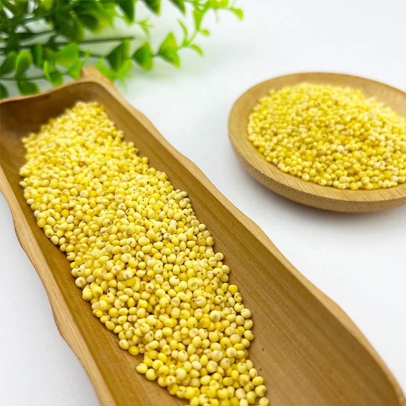 Yellow glutinous  millet