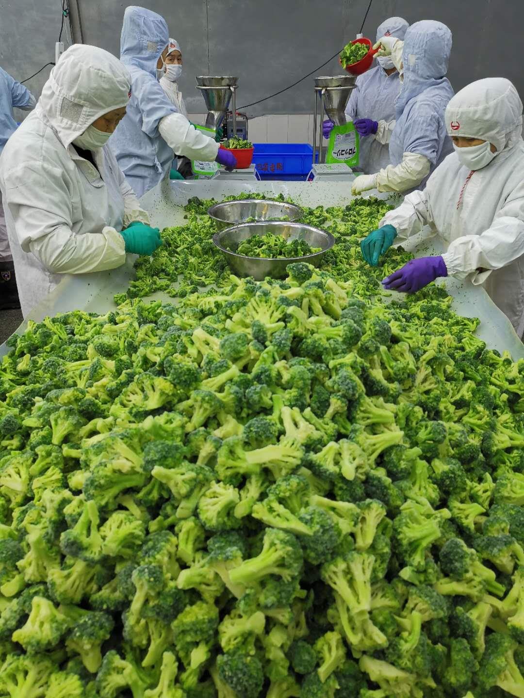 青花菜2020.jpg