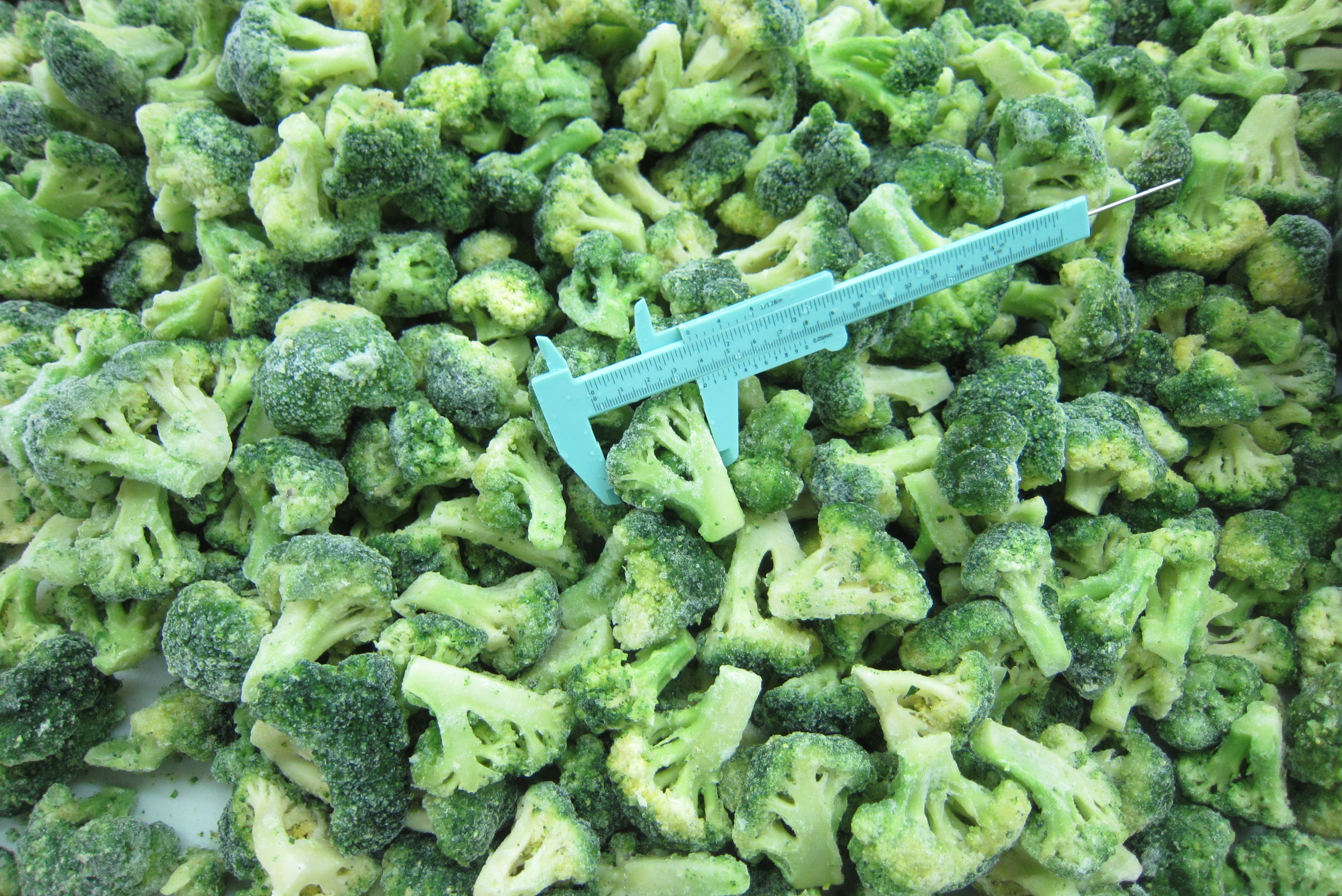 Frozen Broccoli