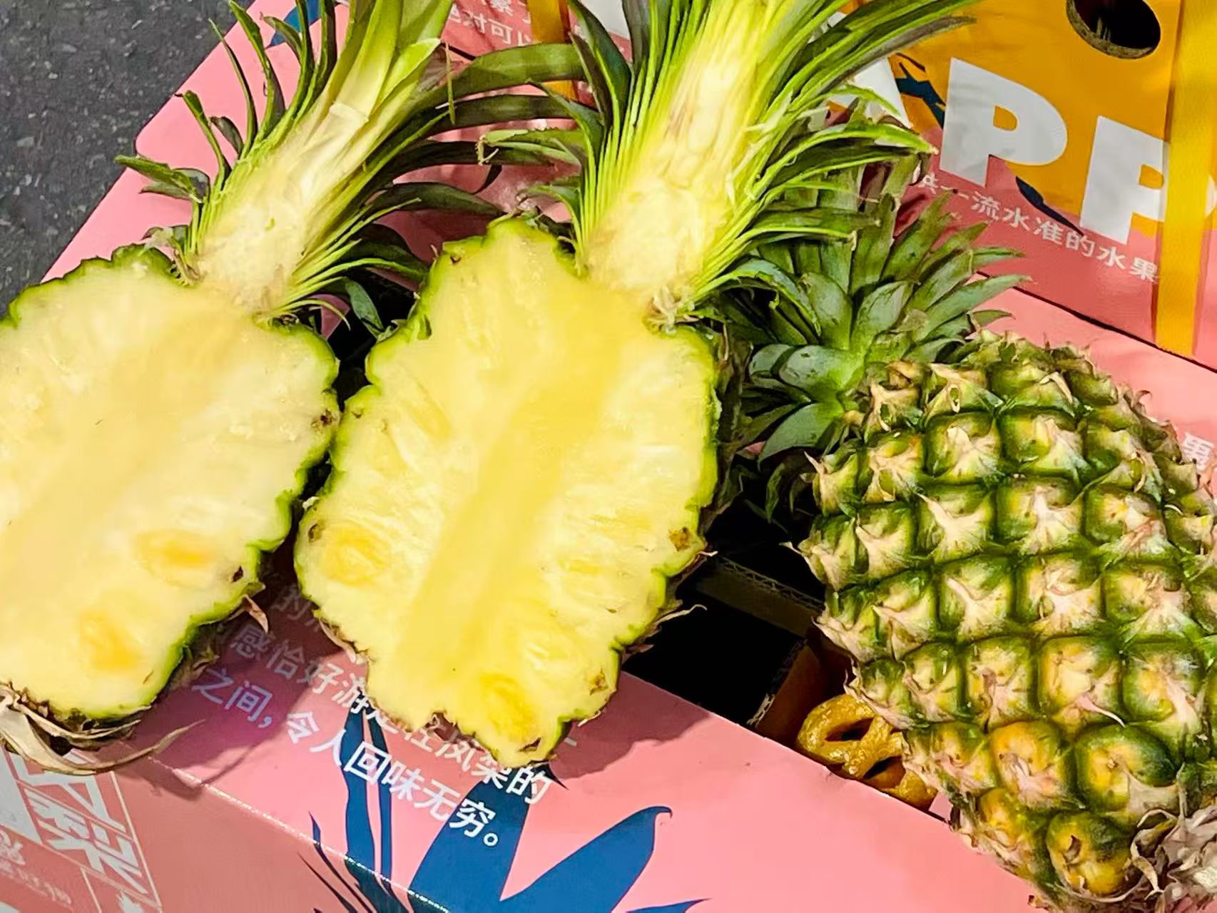 冬蜜鳳梨