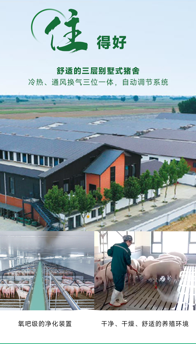 腿肉详情页_08.jpg