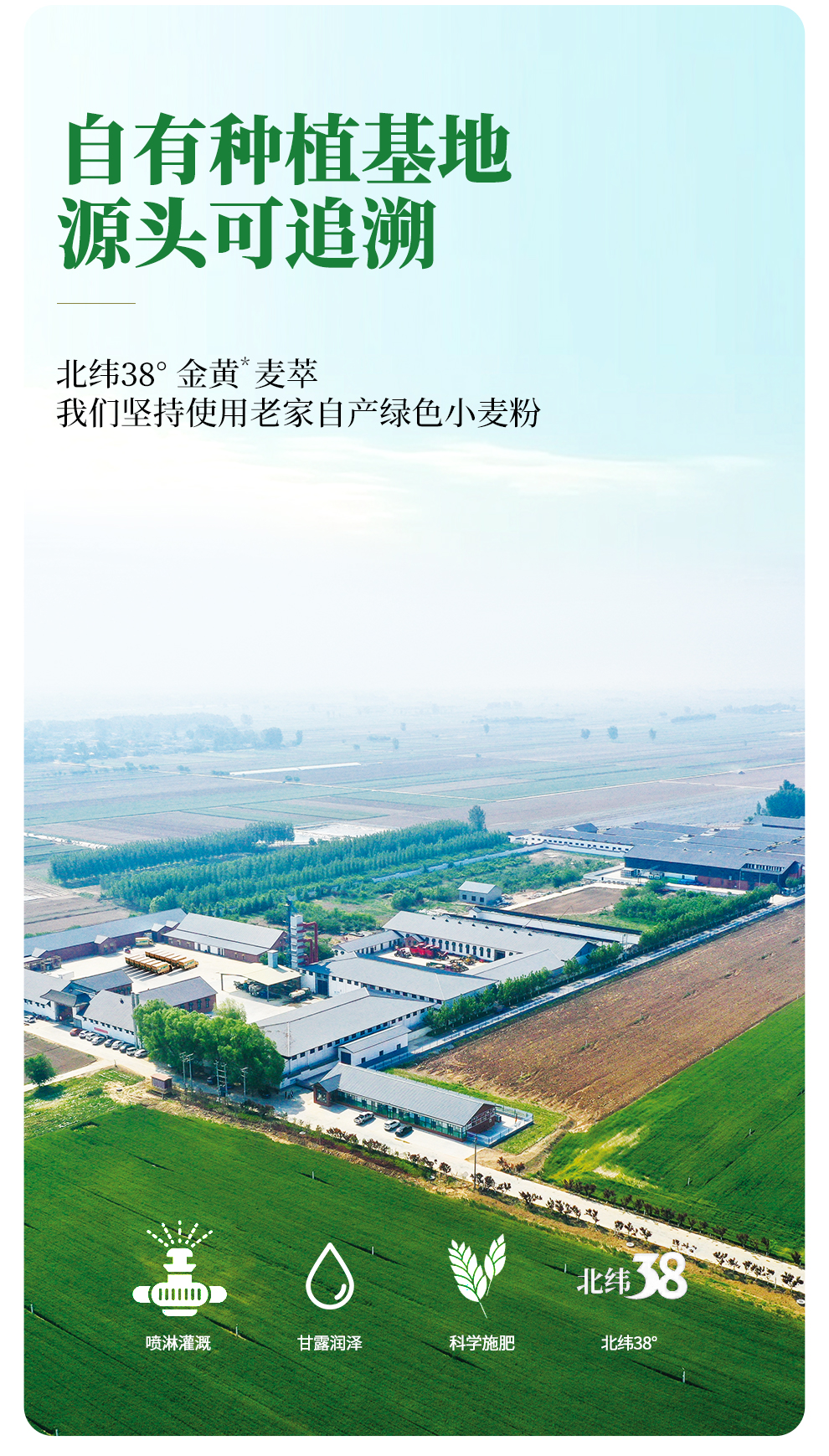 1小麦粉（1kg，5kg-10kg-三种包装）抖音_02.jpg