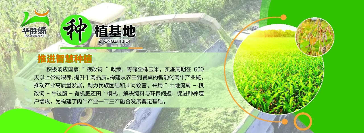 微信图片_20250707183644.jpg