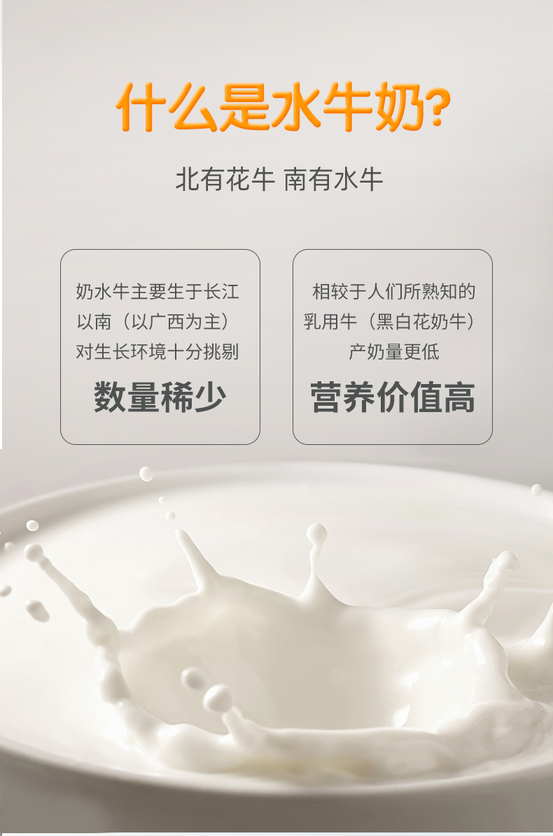 水牛奶蛋糕-410g_03.jpg