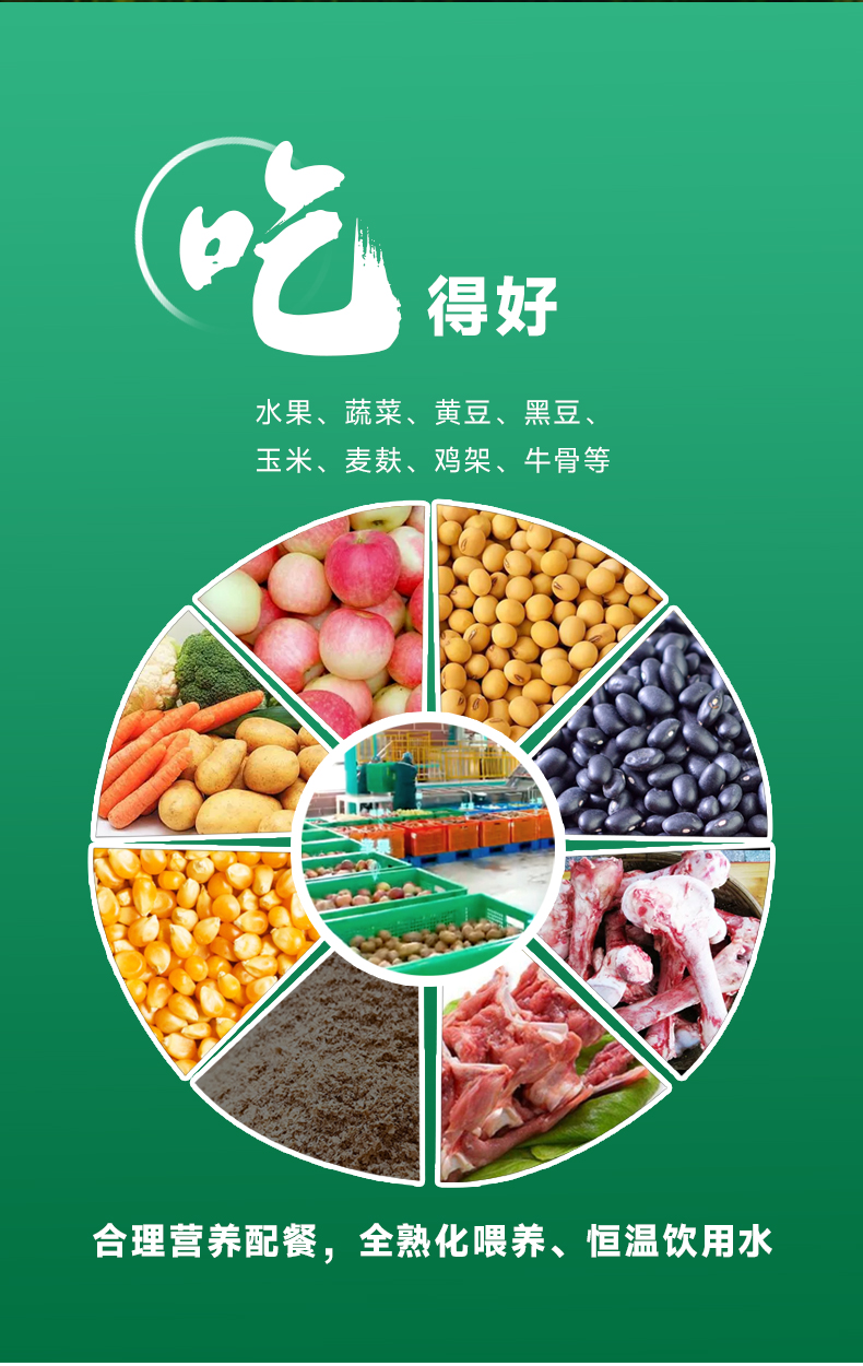 腿肉详情页_07.jpg