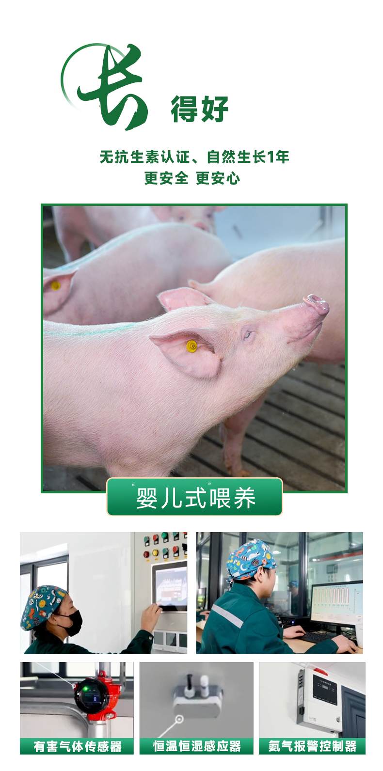 详情页_10 2.jpg