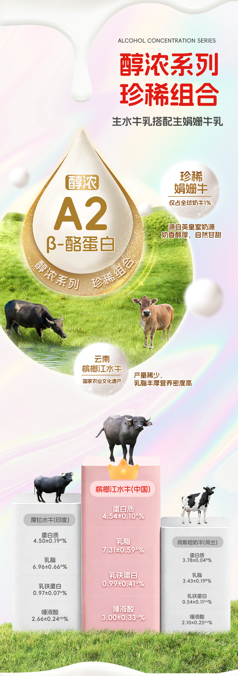 醇浓_03.jpg