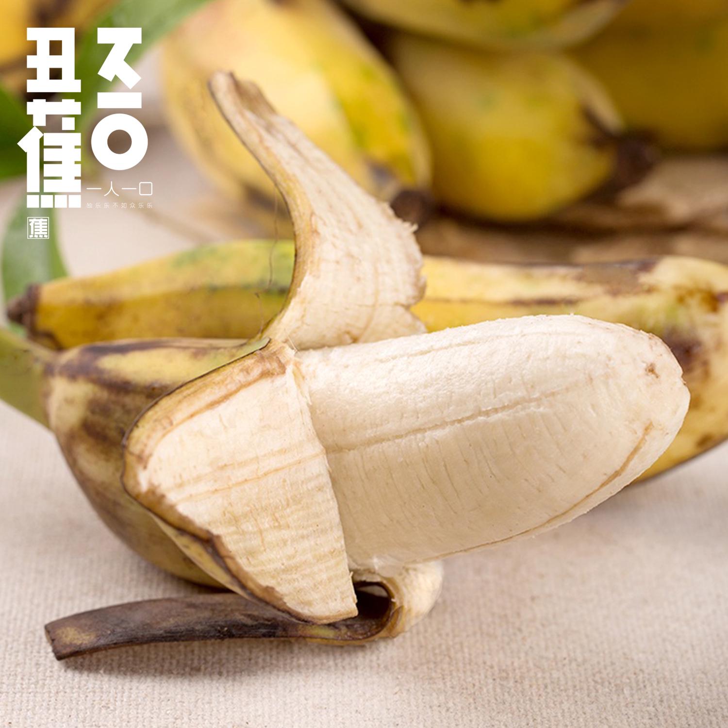 微信圖片_20260211193307.jpg