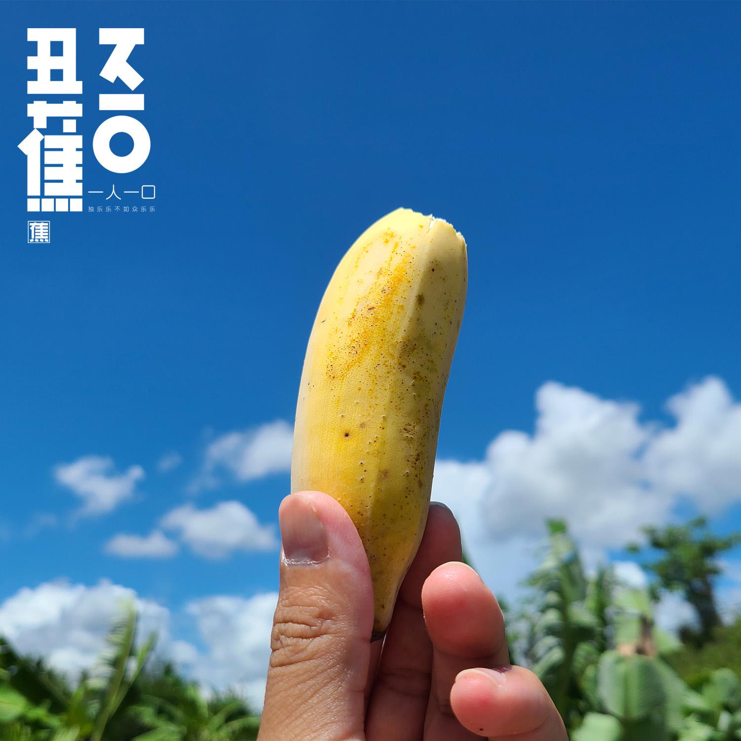 微信圖片_20260211193242.jpg