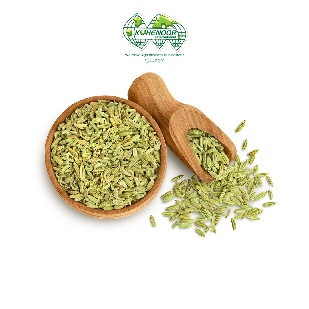 Fennel 3.jpg