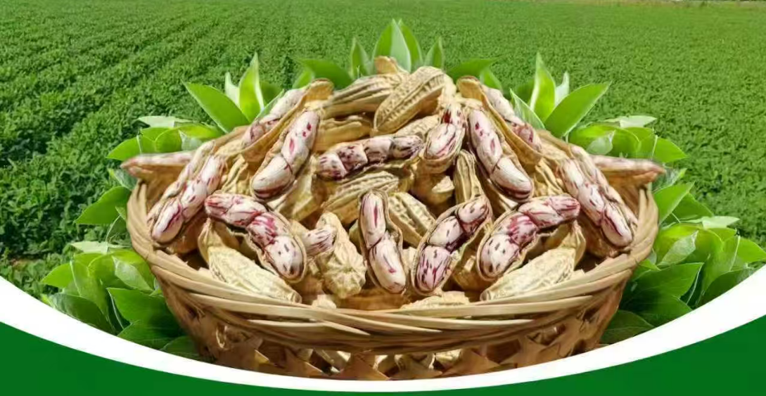 Hainan Colorful Peanuts