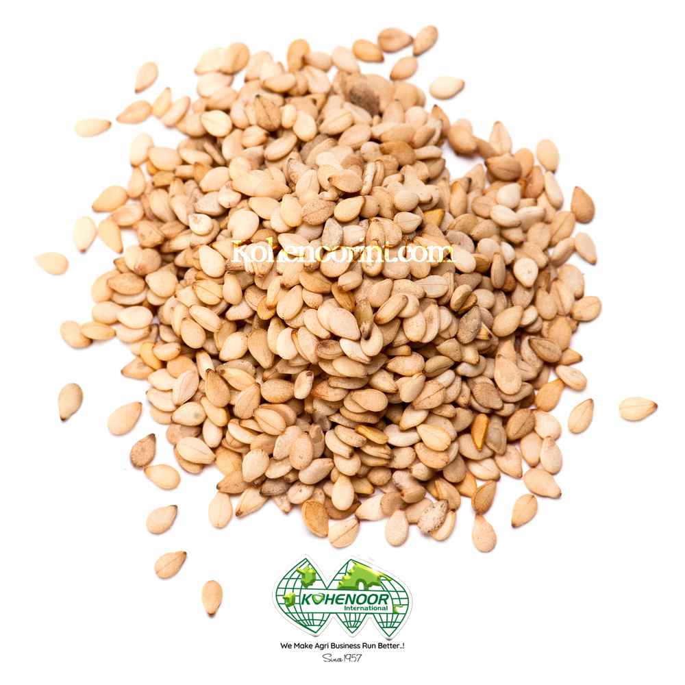 SEASAME SEEDS 1.jpg