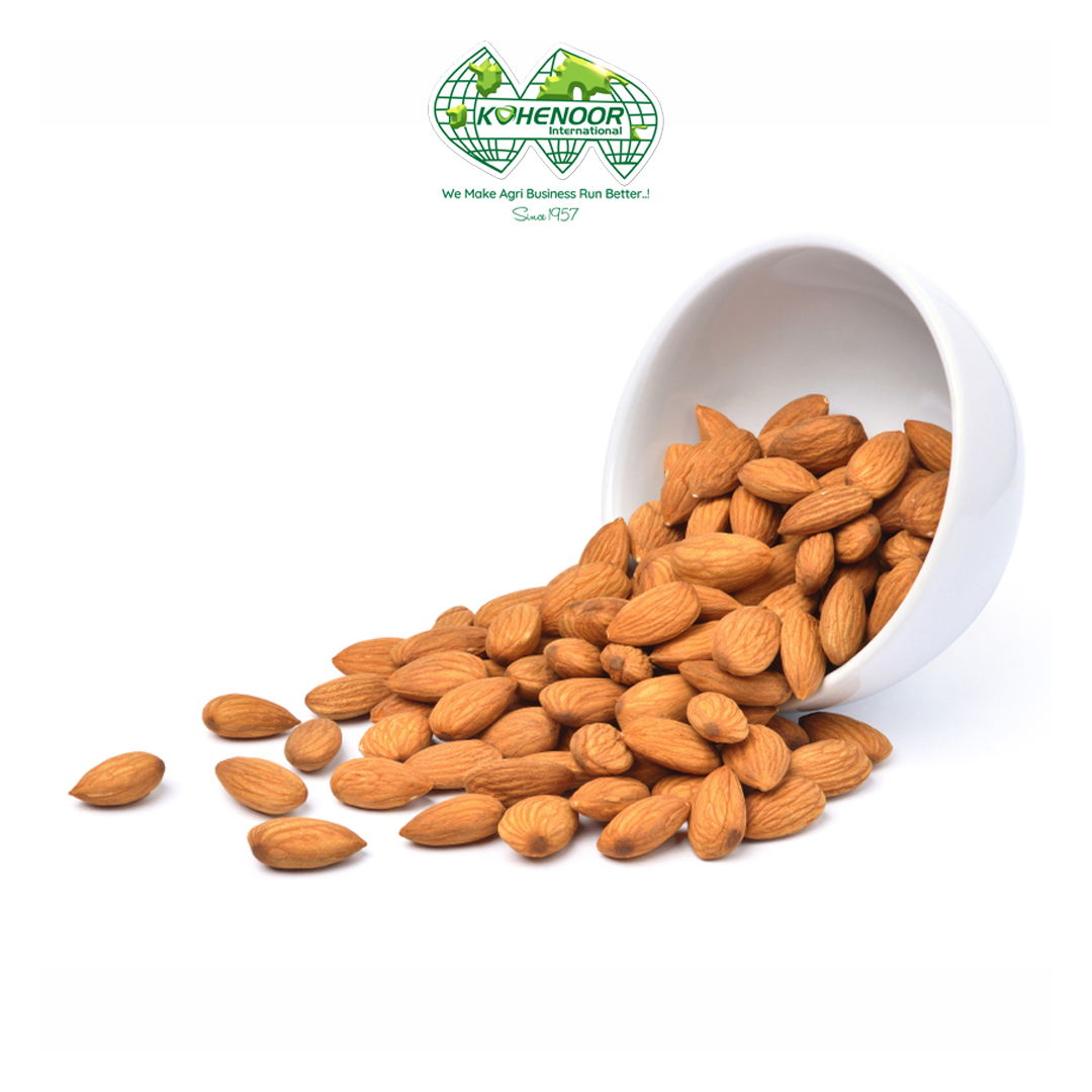 Apricot Kernel 2.jpg