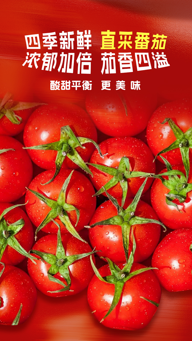 番茄_05.jpg