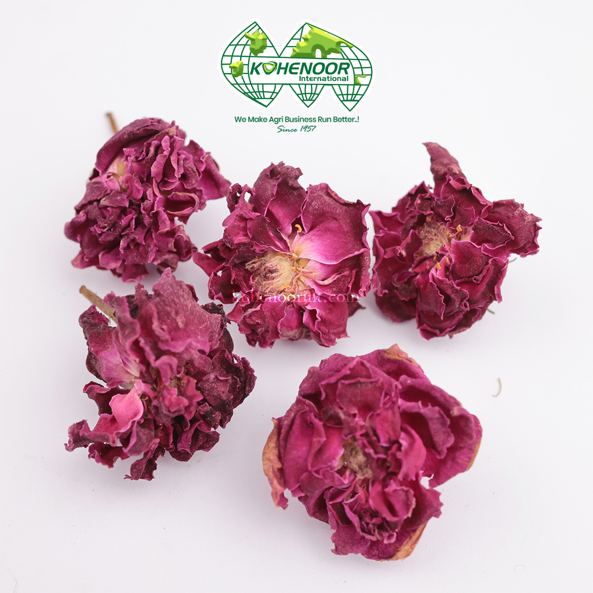 干玫瑰花