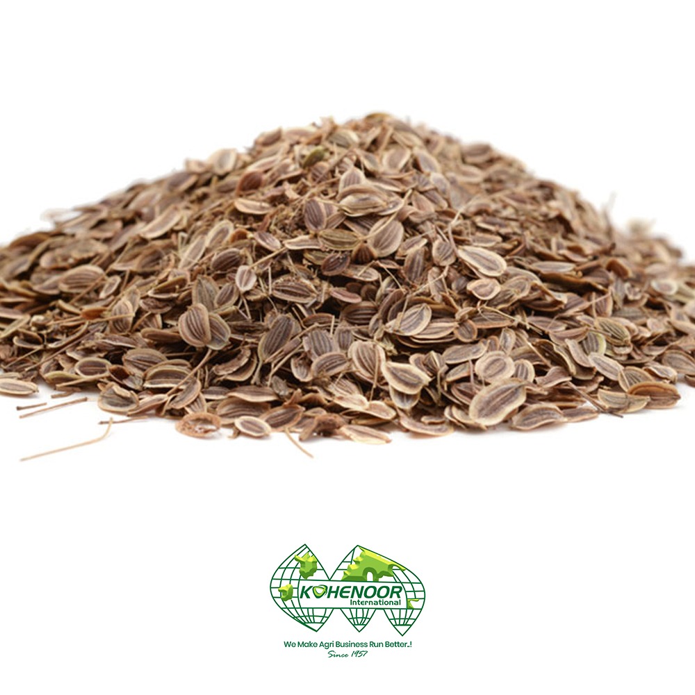 dill seeds 3.jpeg