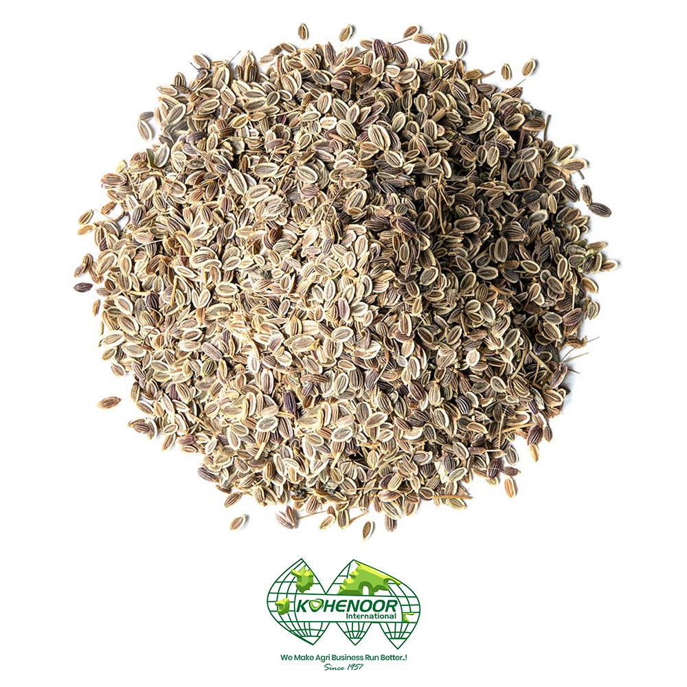Dill seeds