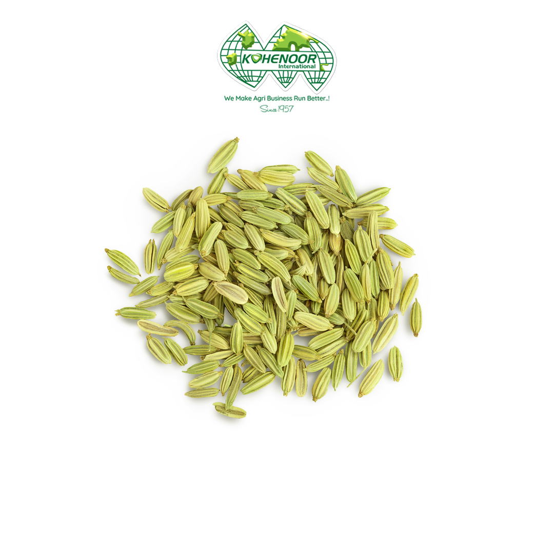 Fennel 5.jpg