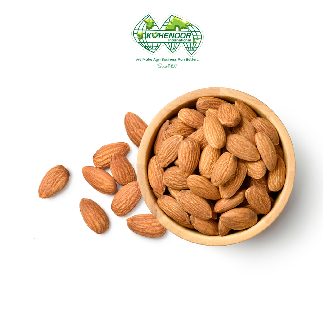 Apricot Kernel 3.jpg